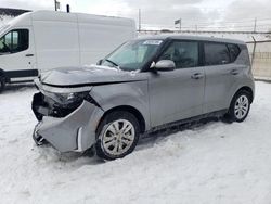 Salvage cars for sale at Northfield, OH auction: 2024 KIA Soul LX