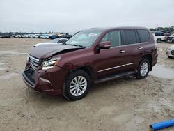 Salvage cars for sale at Houston, TX auction: 2014 Lexus GX 460