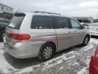 2008 Honda Odyssey EXL