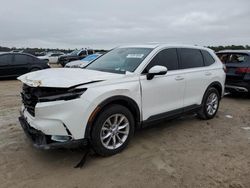 Salvage cars for sale at Houston, TX auction: 2024 Honda CR-V EX