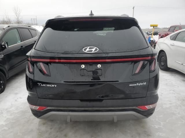 2024 Hyundai Tucson Limited