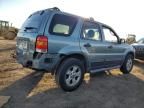 2007 Ford Escape XLT