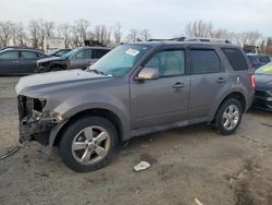 Salvage cars for sale at Baltimore, MD auction: 2011 Ford Escape Limited