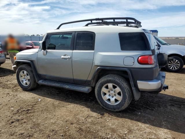 2010 Toyota FJ Cruiser