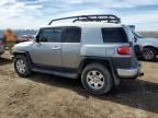 2010 Toyota FJ Cruiser