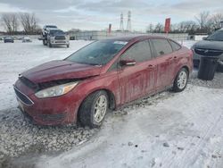 Salvage cars for sale at Barberton, OH auction: 2016 Ford Focus SE