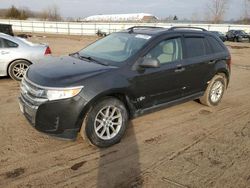 Vehiculos salvage en venta de Copart Cleveland: 2013 Ford Edge SE