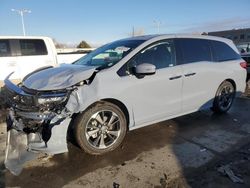 Salvage cars for sale at Littleton, CO auction: 2024 Honda Odyssey Elite