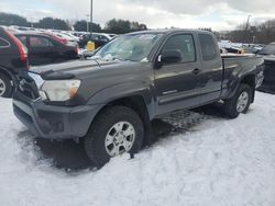 Salvage cars for sale at East Granby, CT auction: 2013 Toyota Tacoma