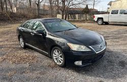 Salvage cars for sale at Kansas City, KS auction: 2010 Lexus ES 350