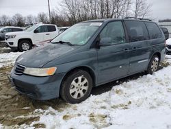 Salvage cars for sale at Windsor, NJ auction: 2003 Honda Odyssey EXL