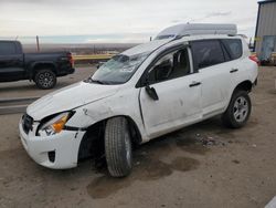 Salvage cars for sale at Albuquerque, NM auction: 2011 Toyota Rav4