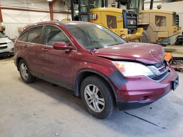 2010 Honda CR-V EXL