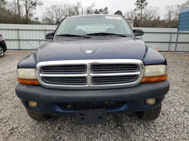 2004 Dodge Dakota Quad Sport