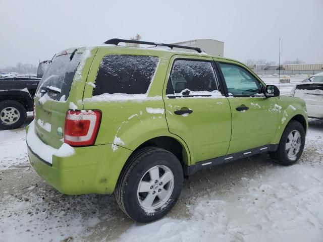 2012 Ford Escape XLT