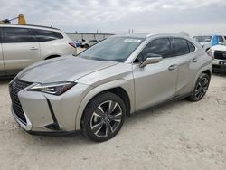 Salvage cars for sale at Haslet, TX auction: 2022 Lexus UX 200 Base