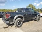 2013 Ford F150 SVT Raptor