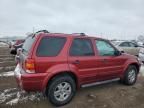 2007 Ford Escape XLT