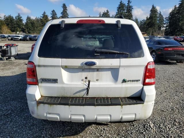 2008 Ford Escape HEV