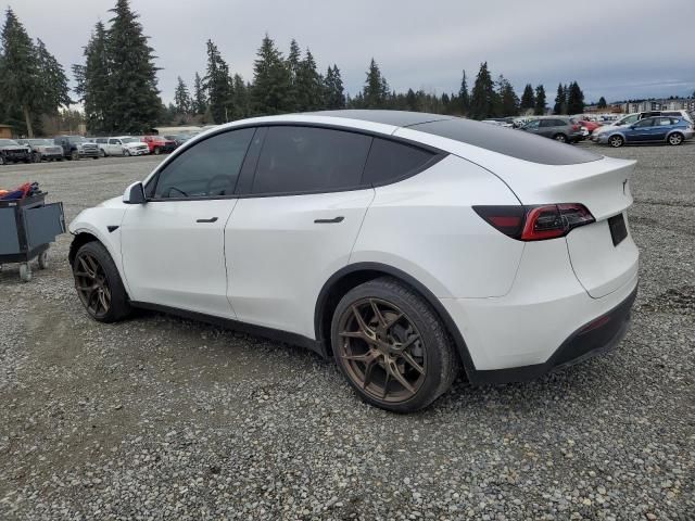 2020 Tesla Model Y