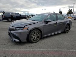 Salvage cars for sale at Rancho Cucamonga, CA auction: 2024 Toyota Camry SE Night Shade