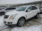 2011 Cadillac SRX Premium Collection