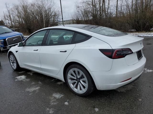 2021 Tesla Model 3