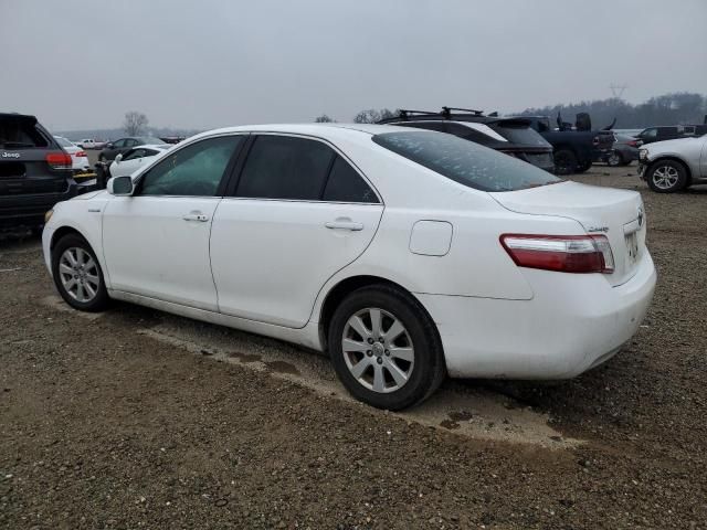 2009 Toyota Camry Hybrid