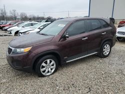 Salvage cars for sale at Lawrenceburg, KY auction: 2012 KIA Sorento Base