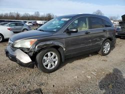 Clean Title Cars for sale at auction: 2009 Honda CR-V EX