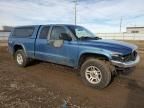 2004 Dodge Dakota SLT