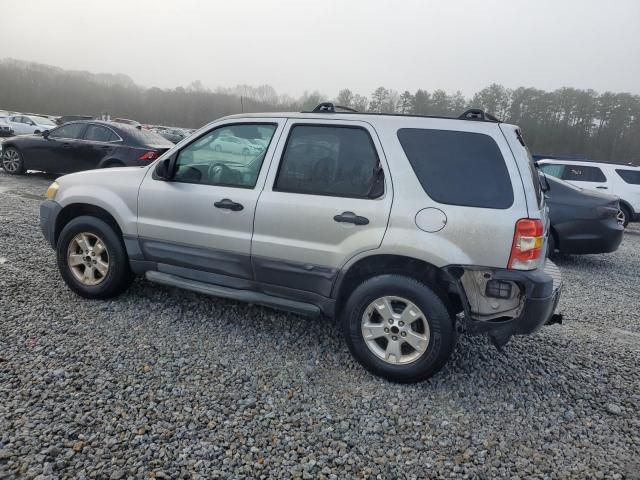 2007 Ford Escape XLT