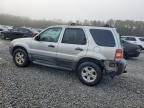 2007 Ford Escape XLT