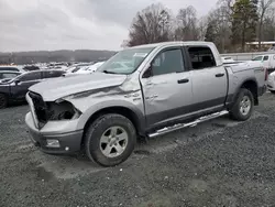 Salvage trucks for sale at Concord, NC auction: 2010 Dodge RAM 1500