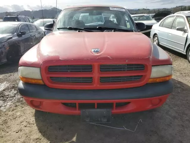 2001 Dodge Dakota