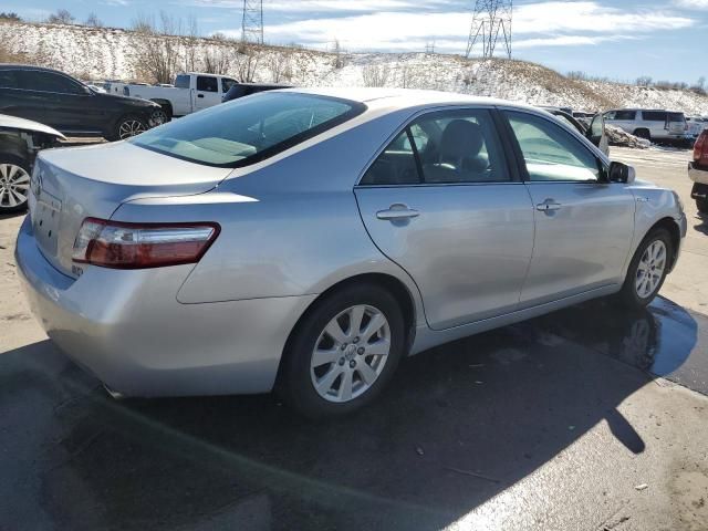 2009 Toyota Camry Hybrid