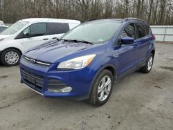 Salvage cars for sale at Glassboro, NJ auction: 2014 Ford Escape SE