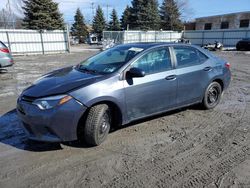 Salvage cars for sale at Albany, NY auction: 2015 Toyota Corolla L