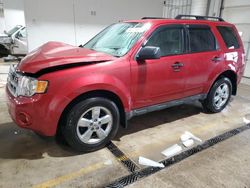 Salvage cars for sale at auction: 2012 Ford Escape XLT