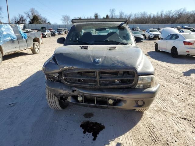 2004 Dodge Dakota Quad Sport