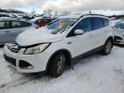 Salvage cars for sale at West Warren, MA auction: 2014 Ford Escape SE