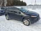 2017 Jeep Cherokee Trailhawk