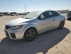 Salvage cars for sale at Andrews, TX auction: 2010 KIA Forte EX