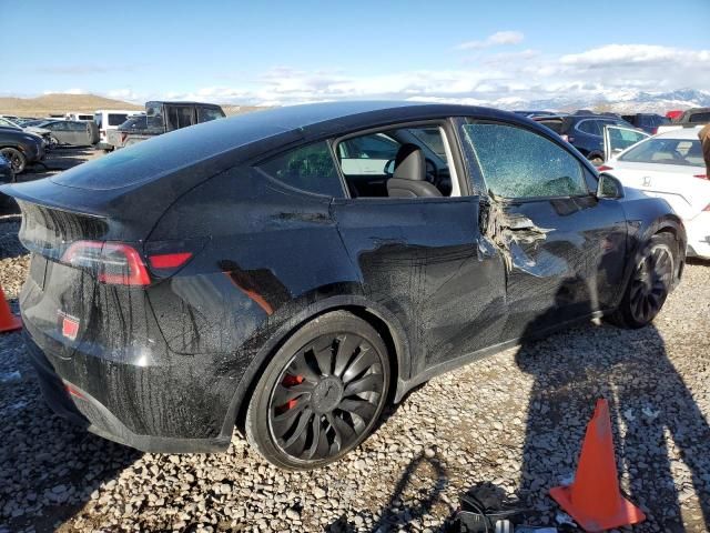 2025 Tesla Model Y