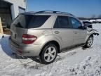 2009 Mercedes-Benz ML 350