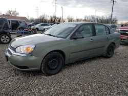 Salvage cars for sale at Columbus, OH auction: 2005 Chevrolet Malibu