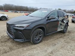 Salvage cars for sale at Conway, AR auction: 2022 Lexus NX 350H