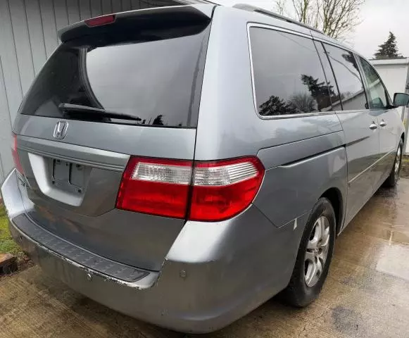 2006 Honda Odyssey EXL