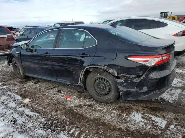 2019 Toyota Camry LE