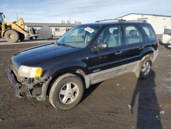 SUV salvage a la venta en subasta: 2001 Ford Escape XLS